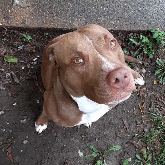 Meet your Posher, Keith - Picture 1 of 1